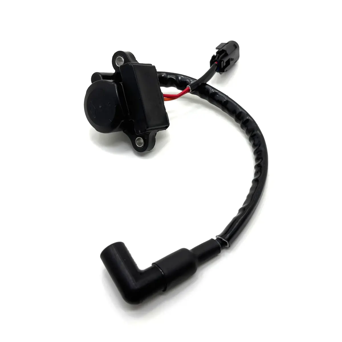 Coil Large Vanguard Efi 1