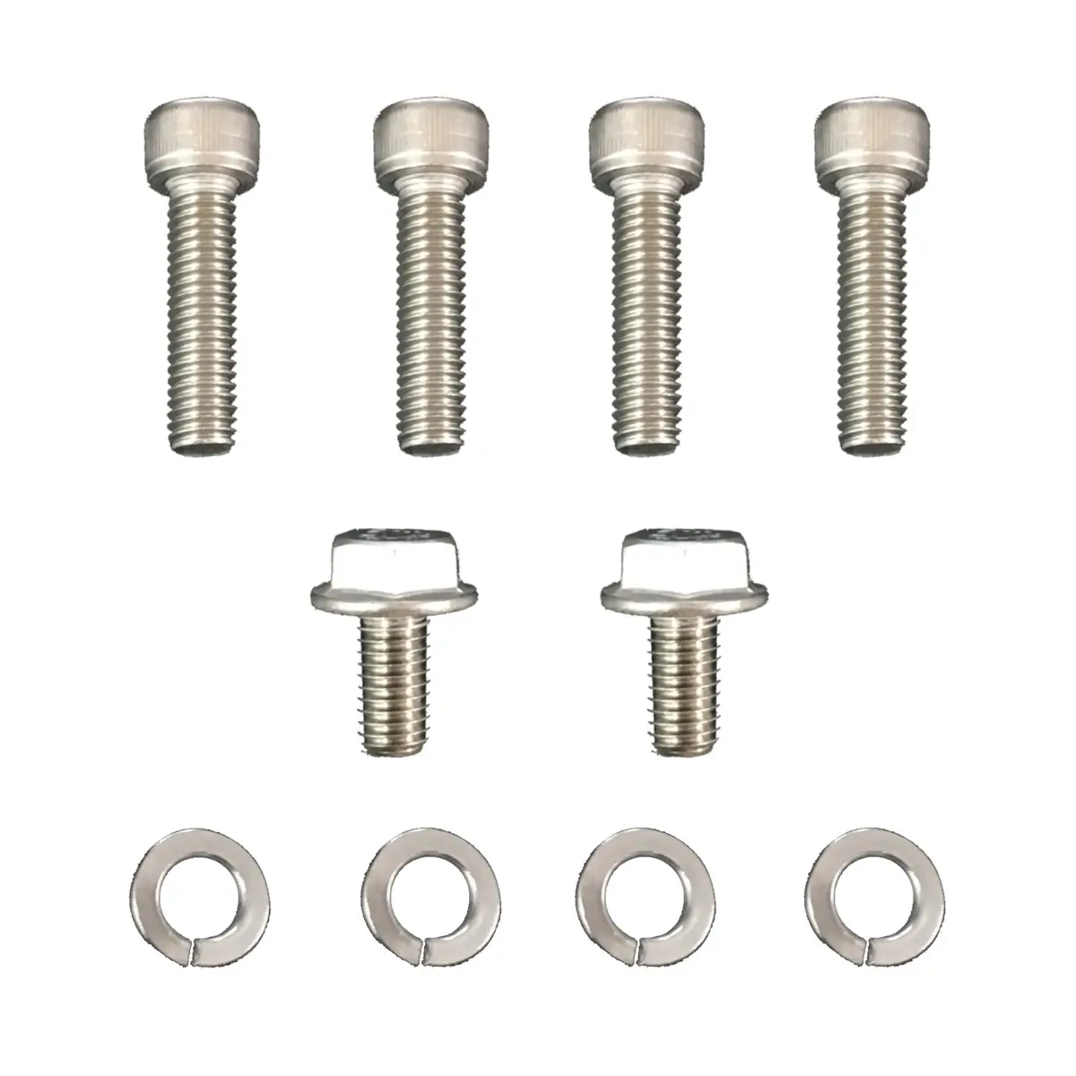 Muffler Bolt Packet For Vanguard Engines 1