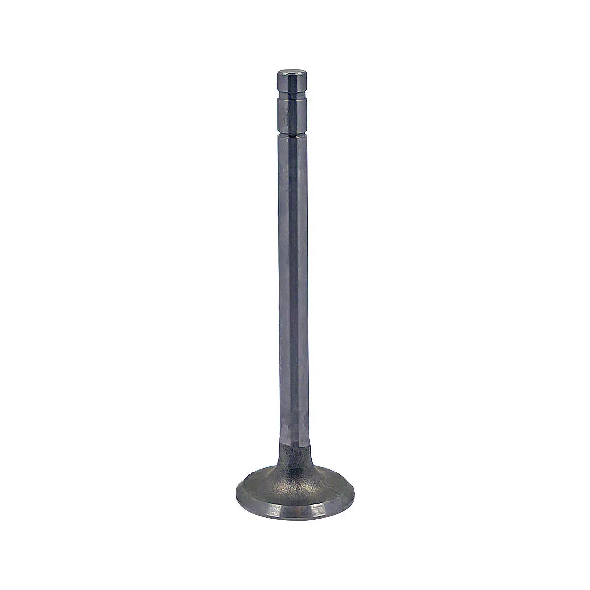 Intake Valve Fits International Tractor | Replaces 42024D 1