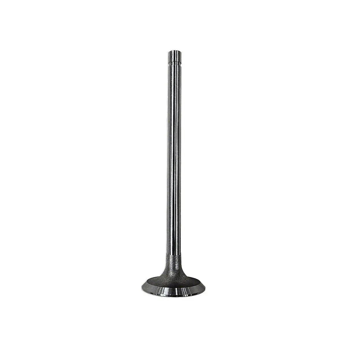 Intake Valve Fits International Tractors | 363786R1 1