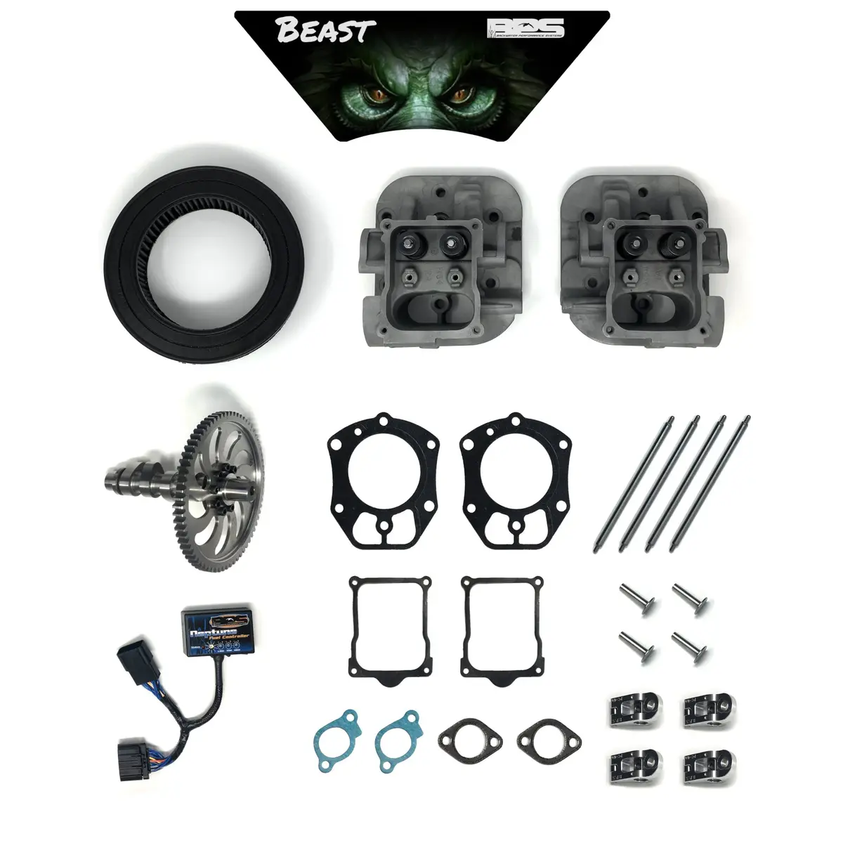 Beast Performance Package For 40 Efi 1