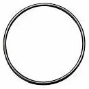 O-Ring #28 (Longtail) 1