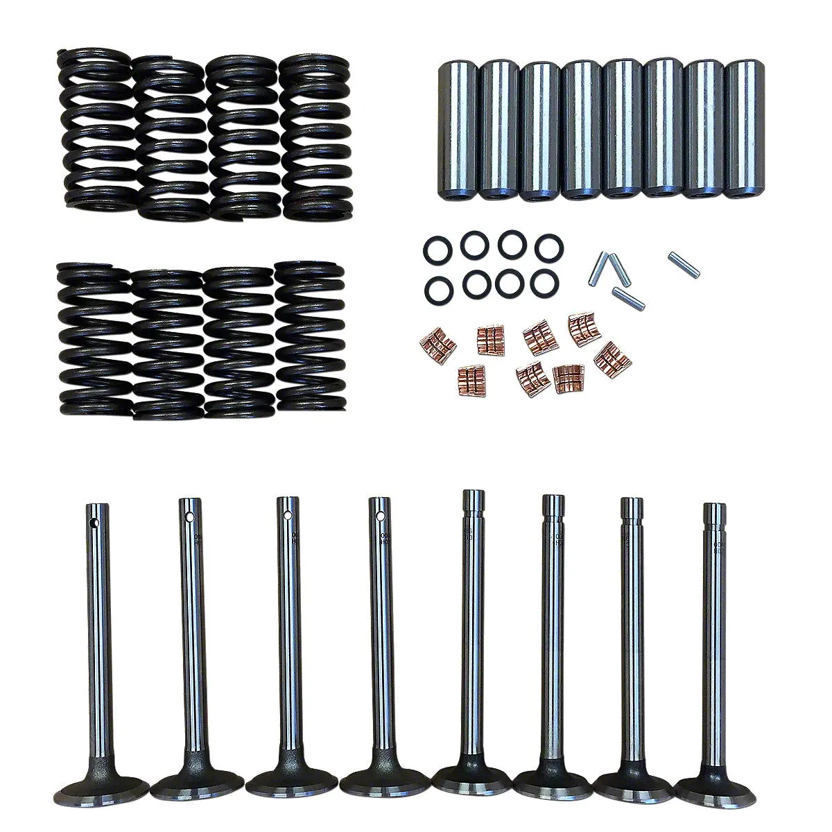 Valve Train Kit Fits Massey Tractor | 1004512M1, 1750072M1 1