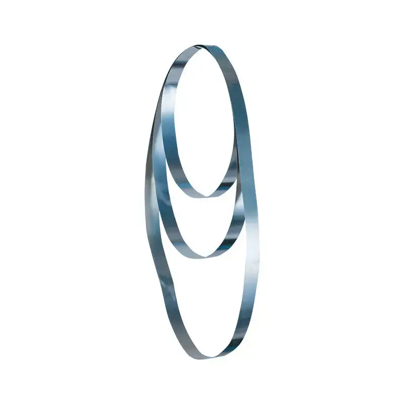 Stainless Steel Replacement Belts 1