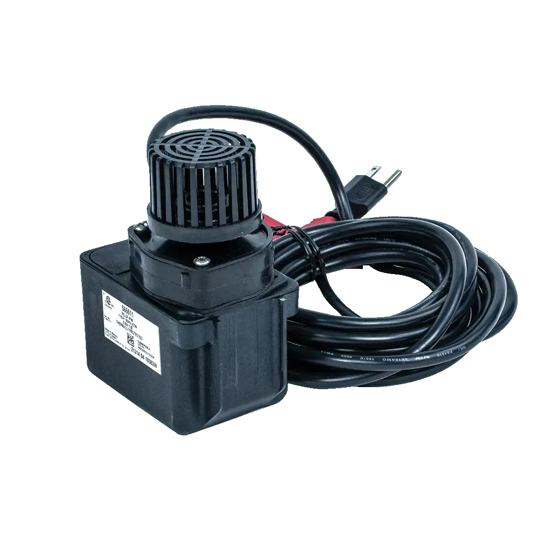 Zebra Circulation Pump 1