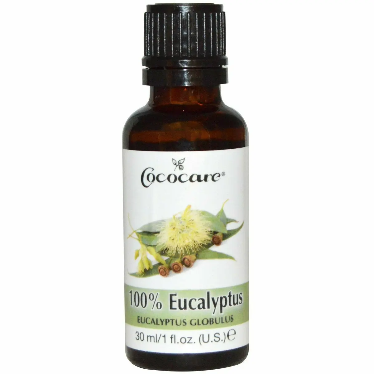 Cococare: 100% Eucalyptus Oil 1Oz 1