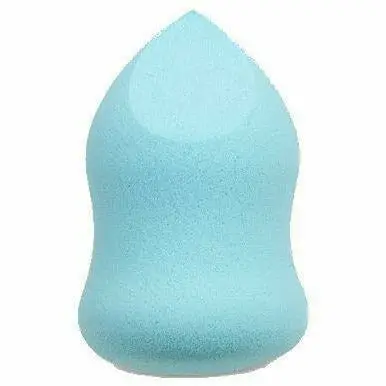 Professional: Blending Sponge 1