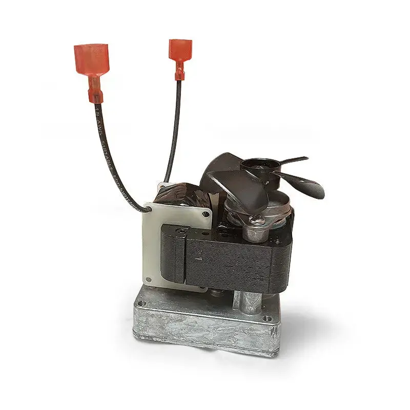 Replacement Motor For Belt Skimmers 1