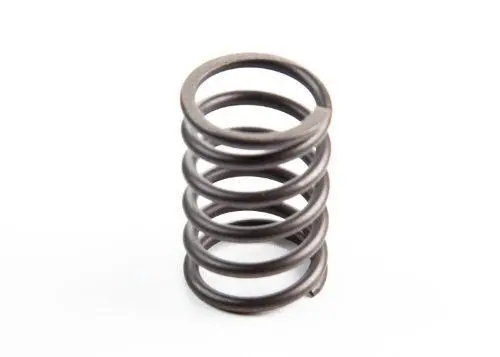 Valve Spring- 29Hp + Vanguard 1