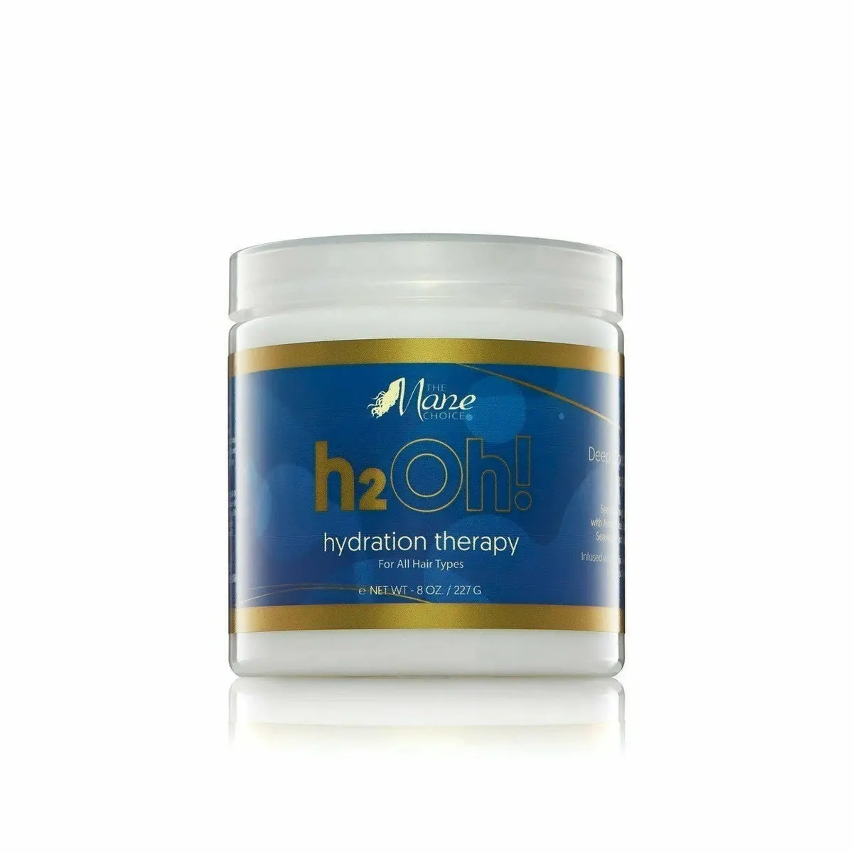 Mane Choice: H2oh! Hydration Therapy Deep Conditioning Masque 8Oz 1
