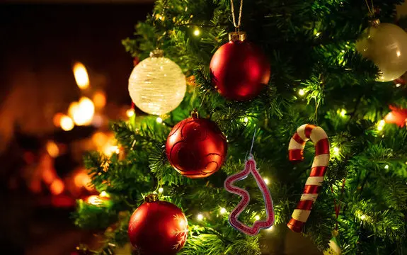 Ctmp Holiday Ornament 1