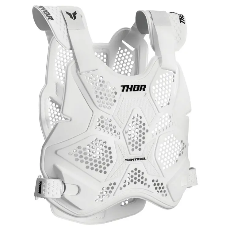 Thor - Sentinel Ltd Roost Guard 4